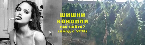 винт Аркадак