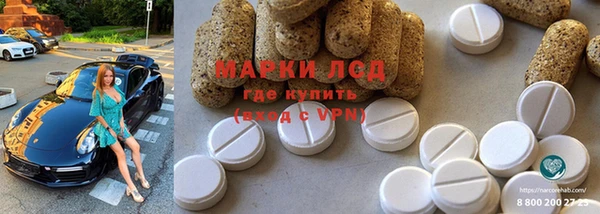 винт Аркадак